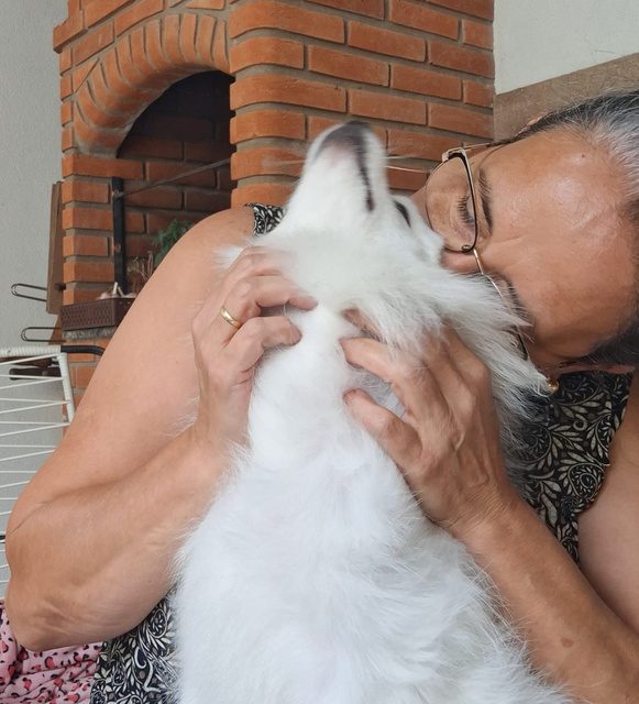 Tutora carinhosa beijando um cachorro branco fofinho